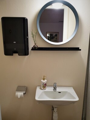 A bathroom with a white sink, a mirror, a black soap dispenser, and a small potted plant. - Rum i Centrum (Vetlanda)