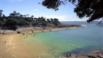 Beach nearby, fishing