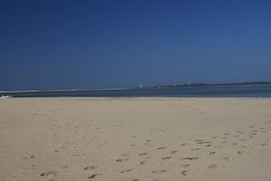 Beach nearby, fishing - Villa l'Olivier, Chambre d'Hôtes Les Volets Bleus (Vaux-sur-Mer)