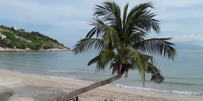 Serviettes de plage