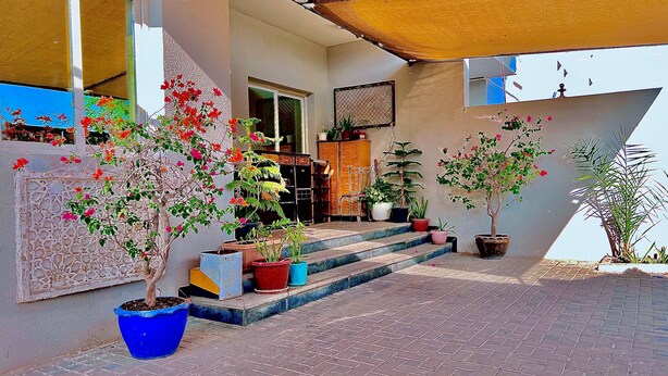 Un espacio al aire libre cubierto con plantas en macetas y una escalera que lleva a una puerta.
