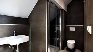 A modern bathroom with a glass shower enclosure, a white sink, and a toilet.