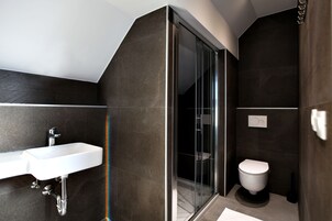 A modern bathroom with a glass shower enclosure, a white sink, and a toilet.