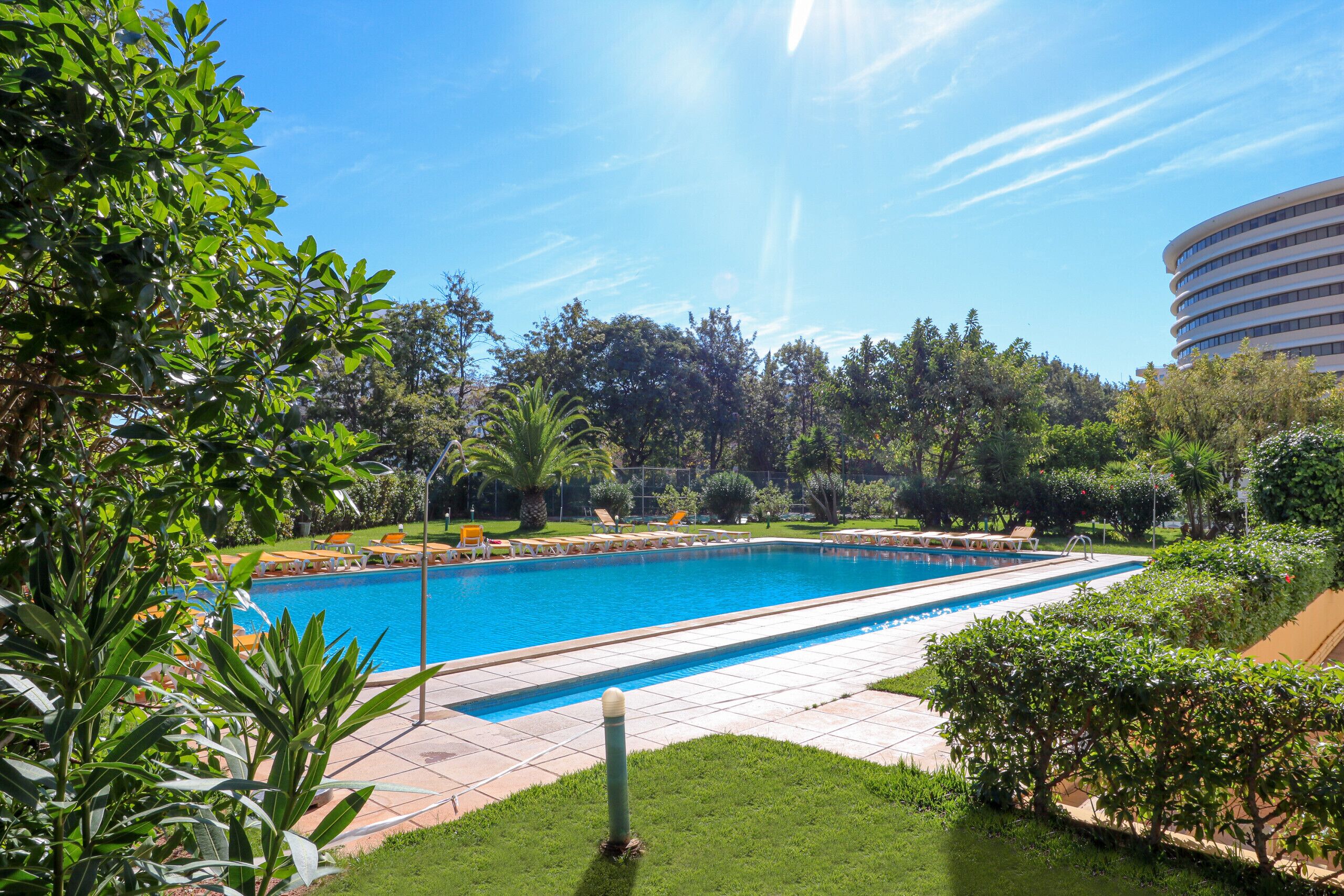 A swimming pool with a tiled deck, surrounded by greenery and a building in the background.