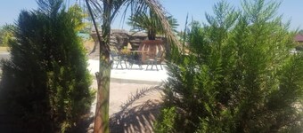 Samfred Garden