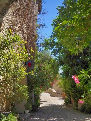 A narrow cobblestone street flanked by lush greenery and a stone building with vines.