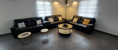 TV connectée, cheminée, lecteur de DVD, livres