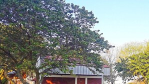 Property grounds - Cabañas Tio Maluco (Goya)