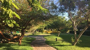 A paved pathway in a park with trees and grass on either side.