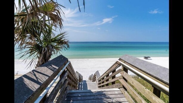 Un escalier en bois mène à une plage, avec un palmier sur la gauche et un ciel bleu dégagé.