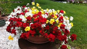 Un arreglo floral grande en maceta con flores rojas, blancas y amarillas en un jardín.