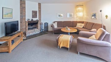 Televisión, chimenea y libros