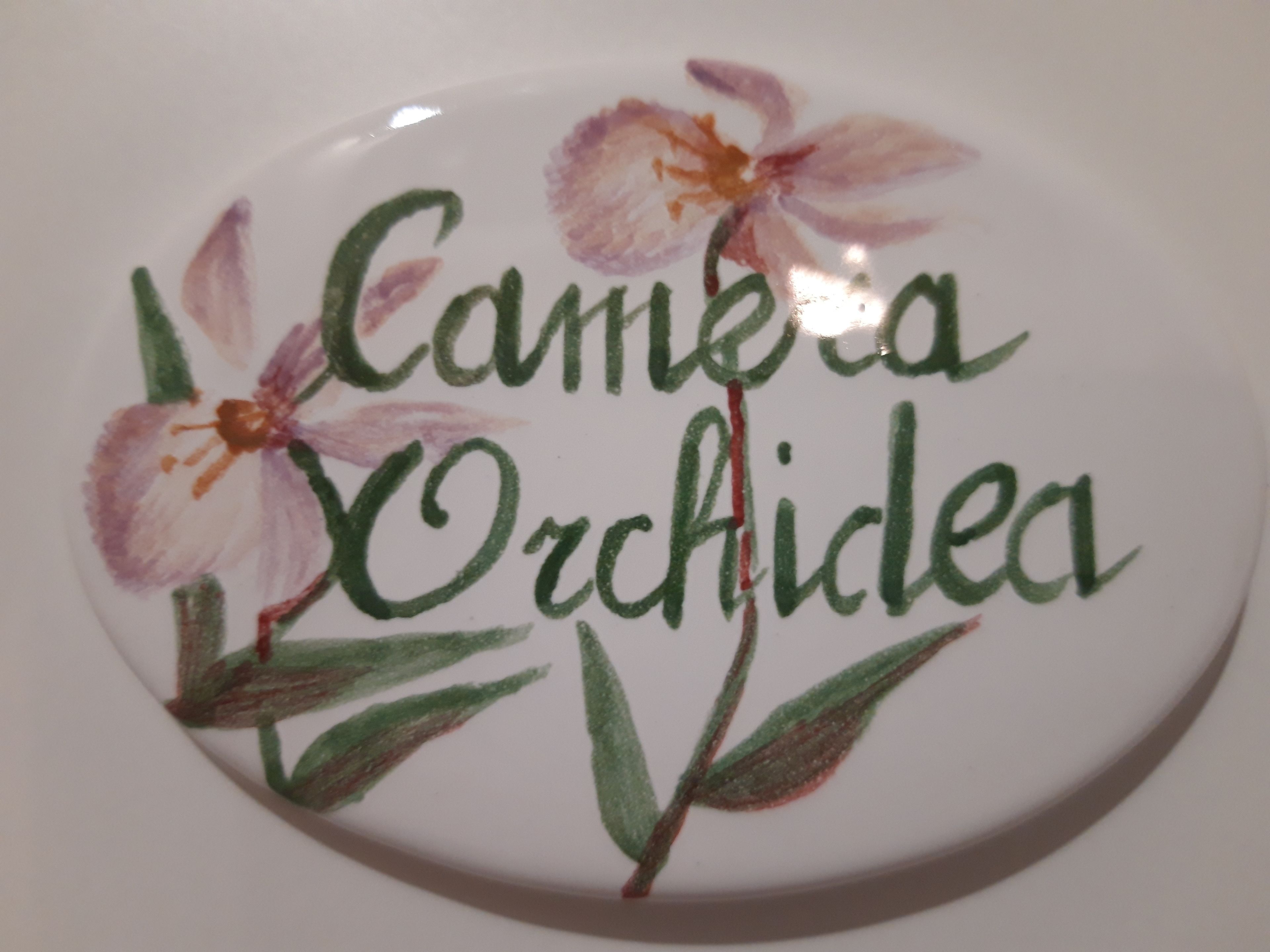 Une assiette en céramique ornée du texte « Camera Orchidica » et de motifs floraux.