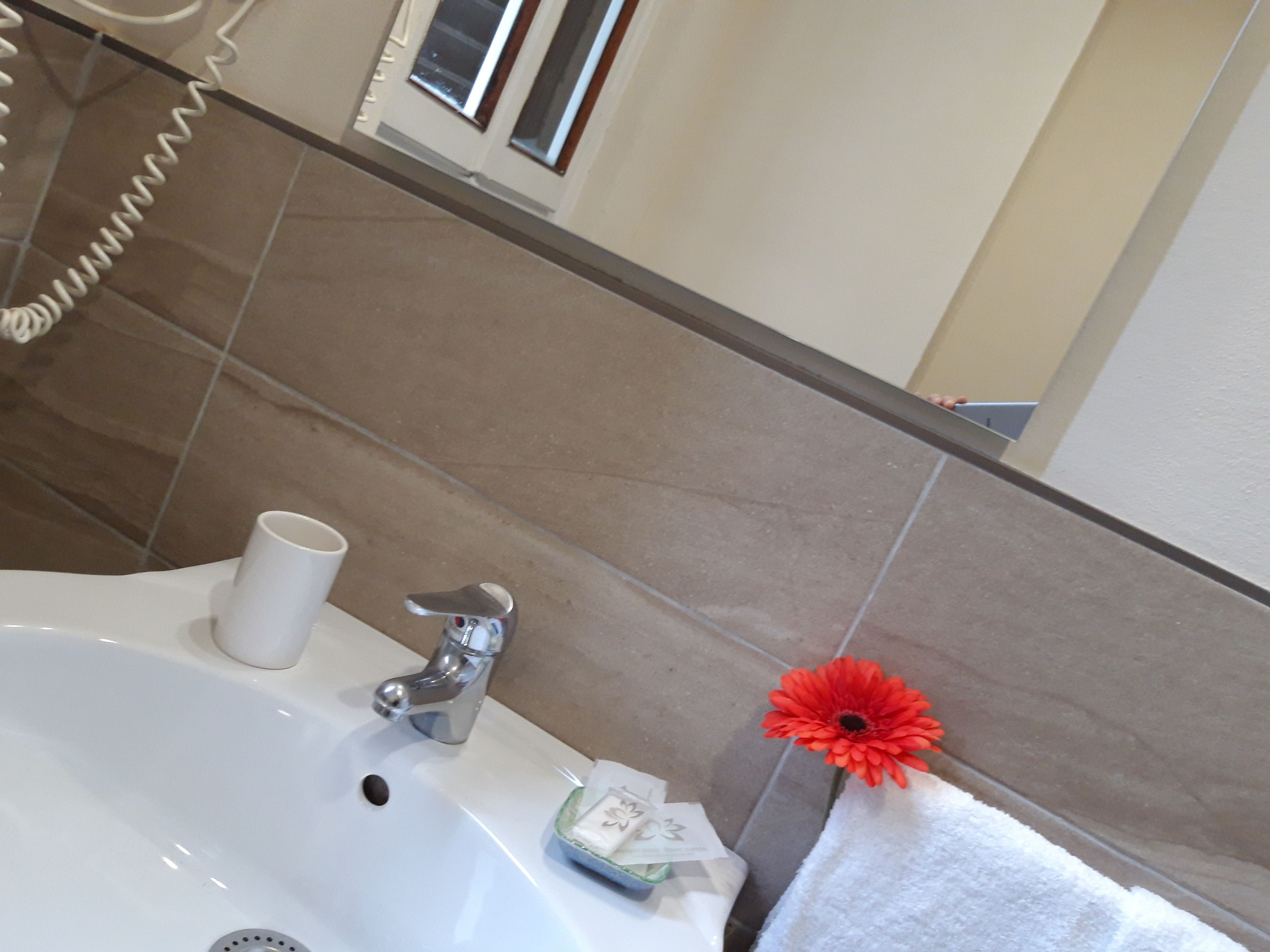 A bathroom with a white sink, a mirror, and a red flower on a towel.