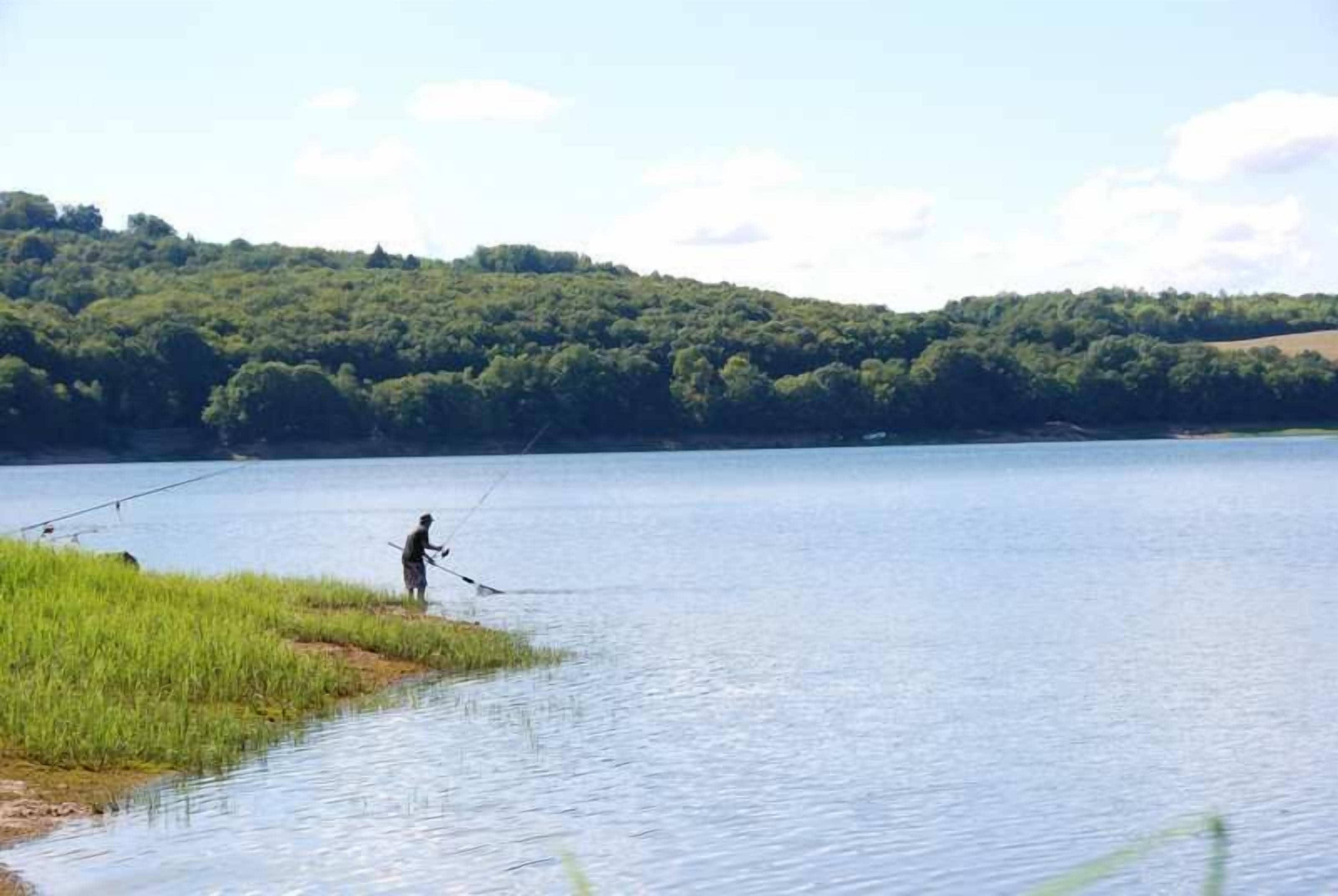 A person fishing by a calm lake with a forested hill in the background.