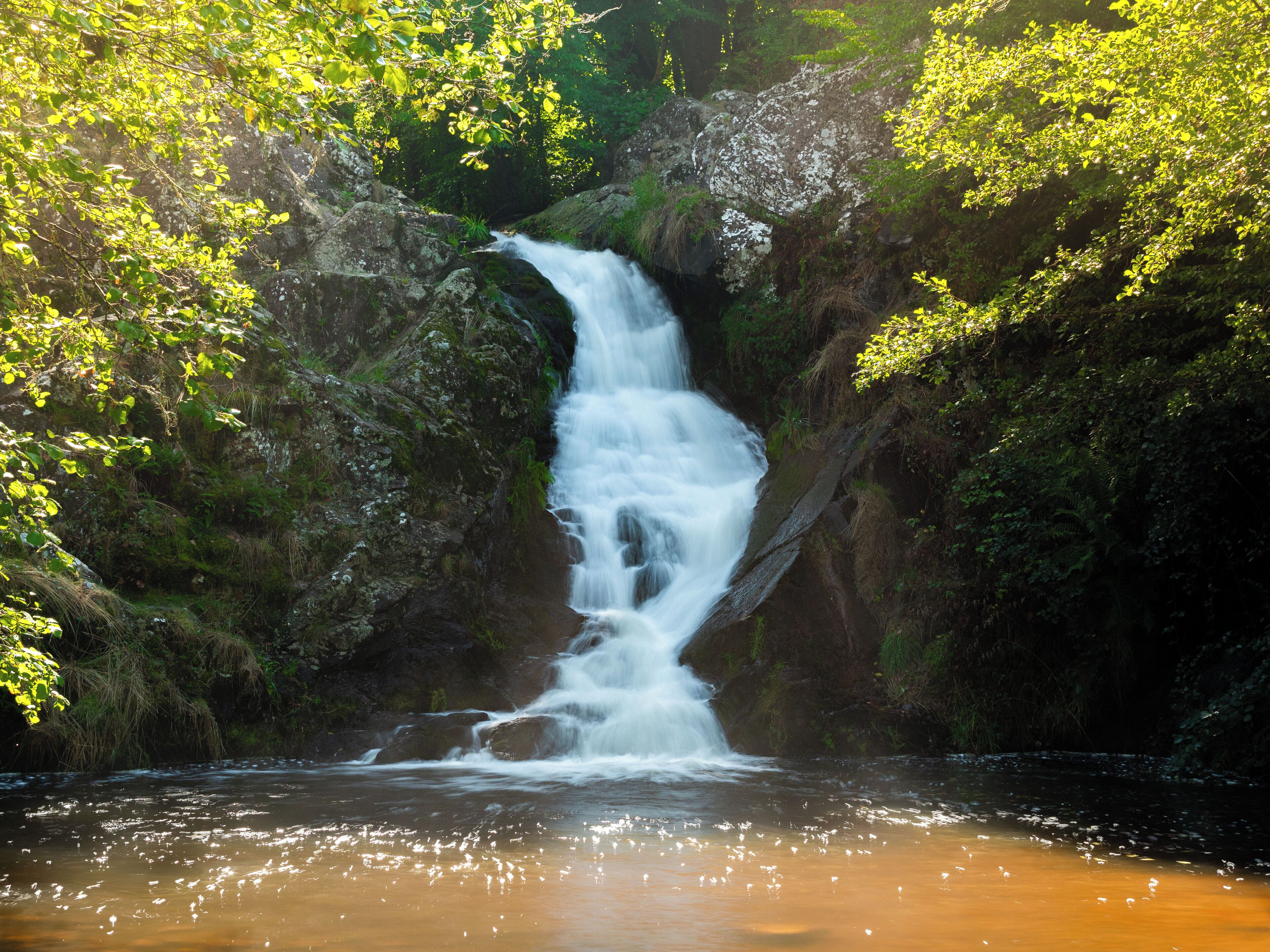 Ein Wasserfall stürzt über eine felsige Klippe, umgeben von üppiger Vegetation.