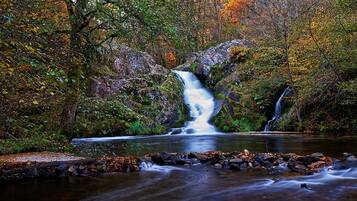 A waterfall in a forested area with a rocky foreground and dense foliage.