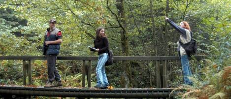 Tres personas sobre un puente de madera cruzando un arroyo en un área boscosa.