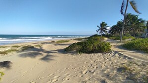 Ein Sandstrand mit Fußspuren, Palmen und Wellen.