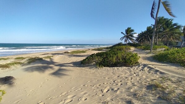 A sandy beach with footprints, palm trees, and ocean waves.