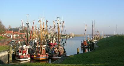 Ferienhaus Seestern, zur Nordsee nur 2km, sehr kinderfreundlich