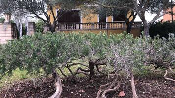 Terrein van de accommodatie