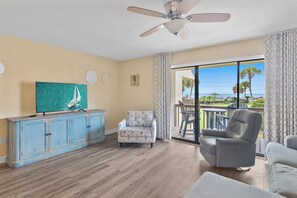 Smart TV, DVD player, books, video library