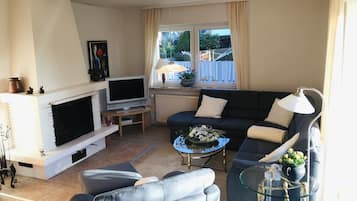 Télévision, cheminée, chaßne hi-fi