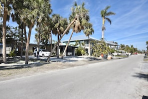 Property grounds - Dolphin Dream Private Island Escape (Fort Myers Beach)
