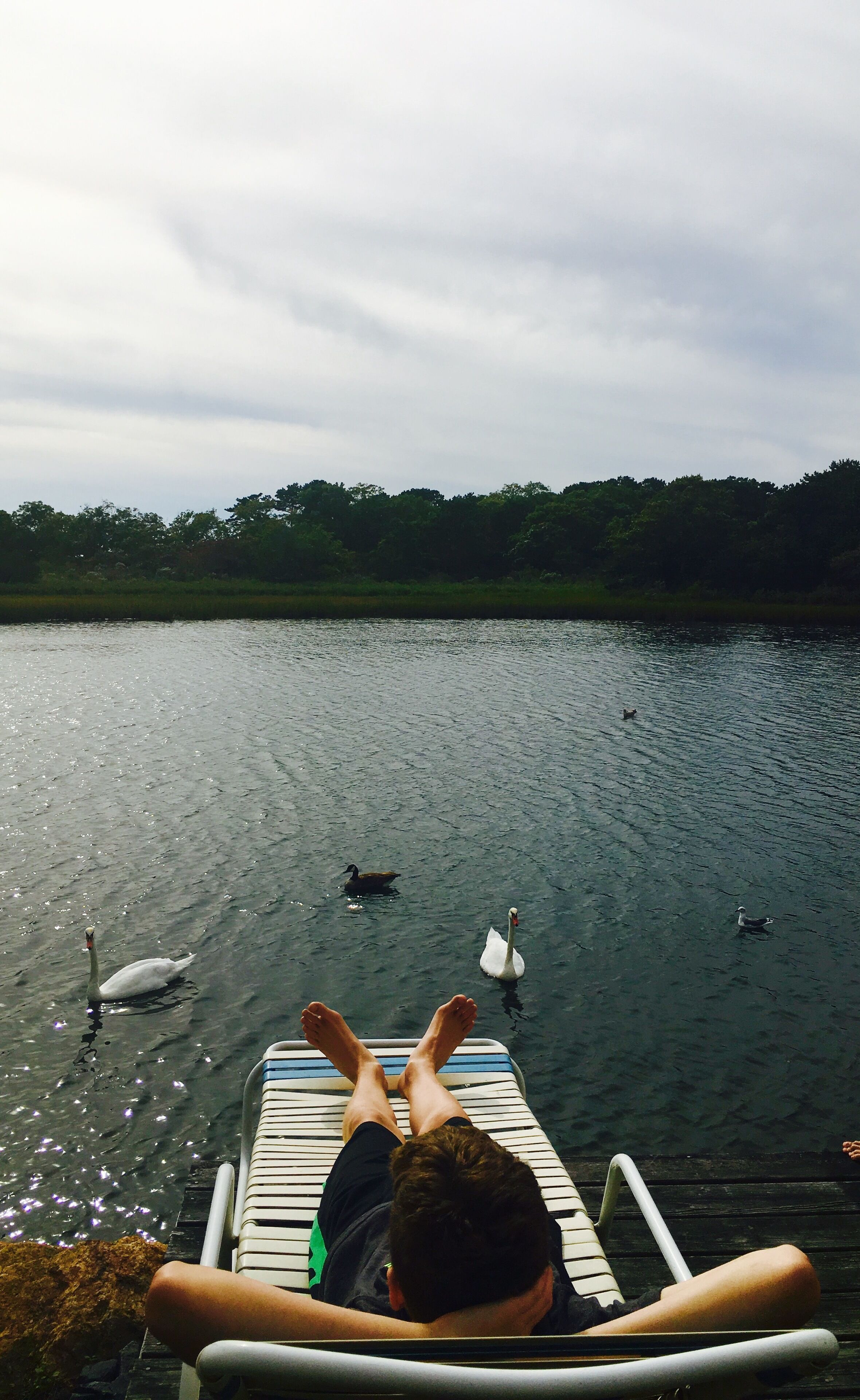 Una persona si rilassa su un molo con vista su un lago, con cigni e anatre nell'acqua.