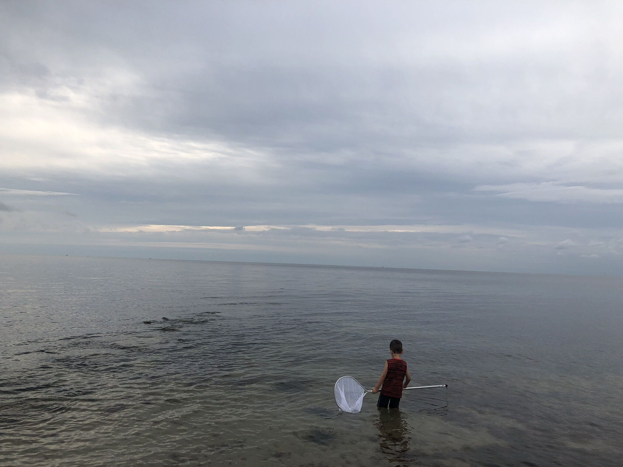 A person wading in calm water with a net, under a cloudy sky.