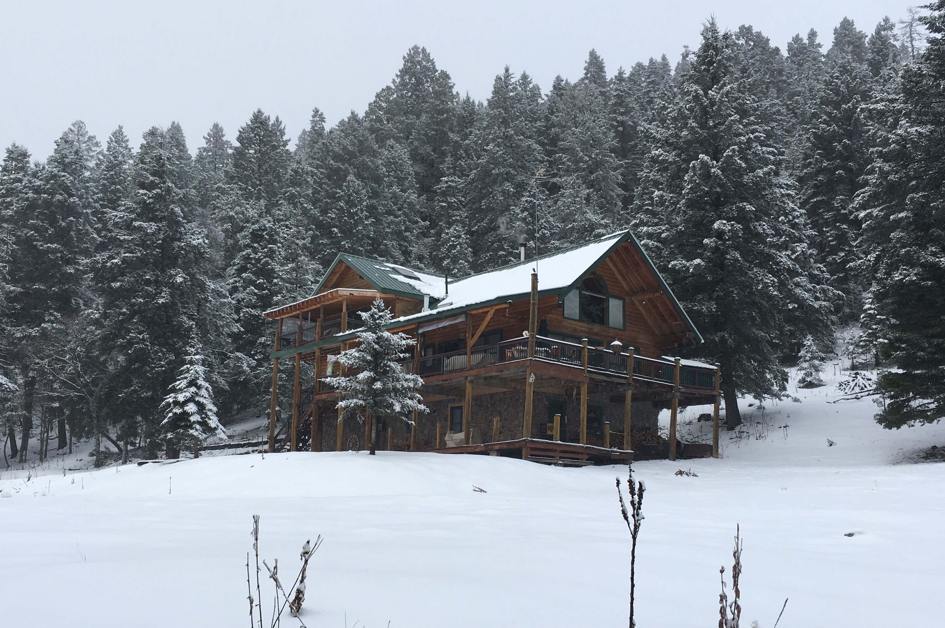 Livin Hi SAFARI LODGE. Log home full of animal mounts from around the world. 