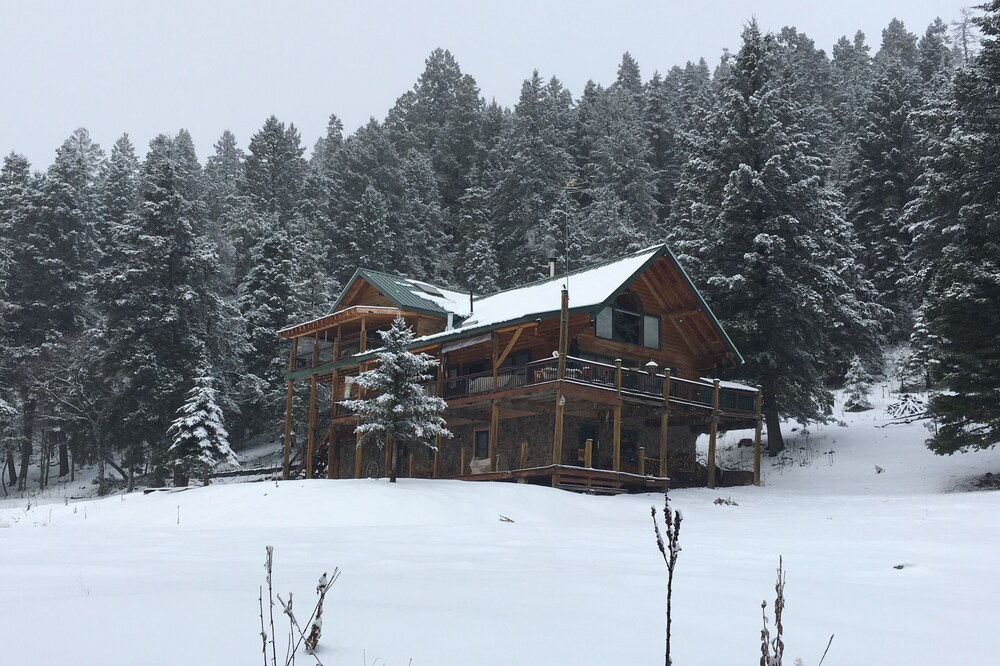 Livin Hi SAFARI LODGE. Log home full of animal mounts from around the world.
