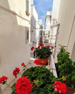 Un stretto vicolo con edifici bianchi, fiori rossi e piante verdi.