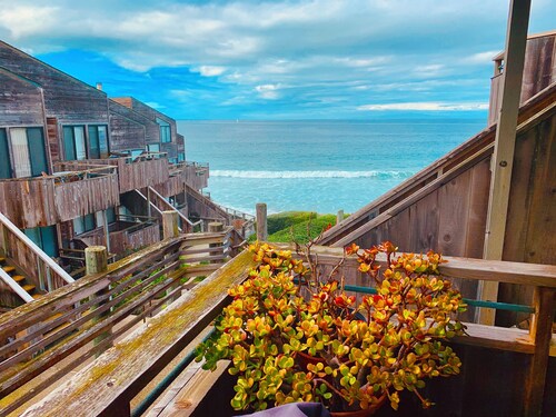 YOU WON'T WANT TO LEAVE!