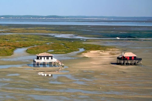 BETWEEN ARCACHON AND OCEAN, BIG HOUSE - LE TEMPLE