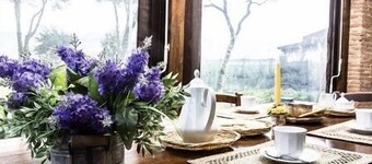 Rustico Diana 3 km from the sea 20% sea tent air condit Wi-Fi price all included