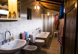 Shower, hair dryer, bidet, towels