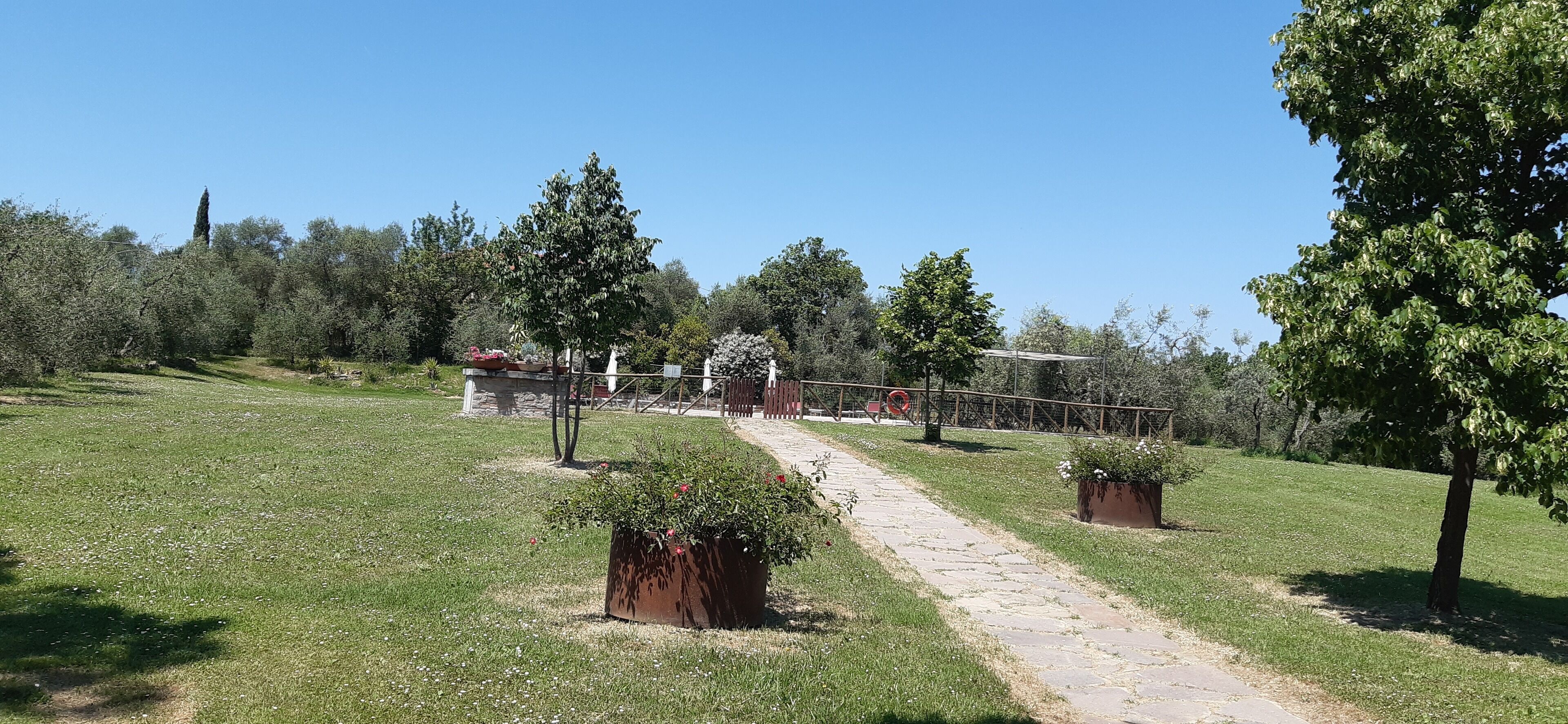 A pathway through a park with trees and potted plants.