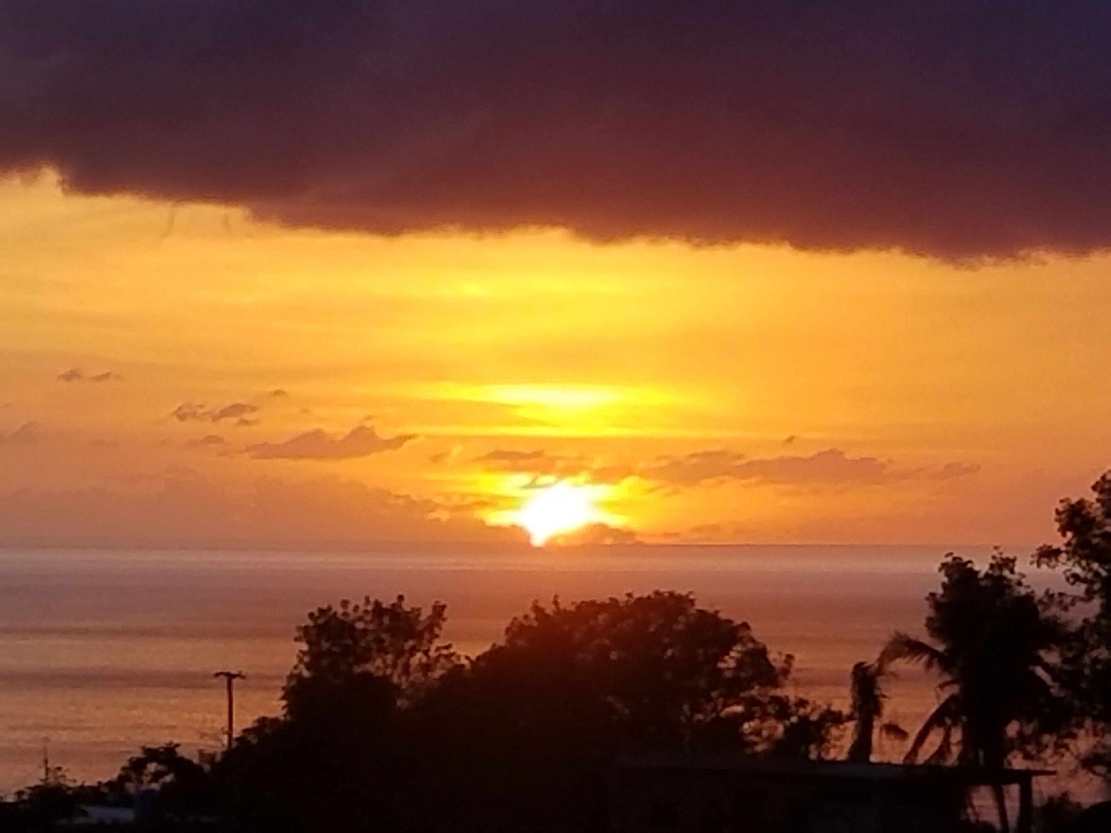 A sunset over the ocean with silhouettes of trees and a clear horizon.