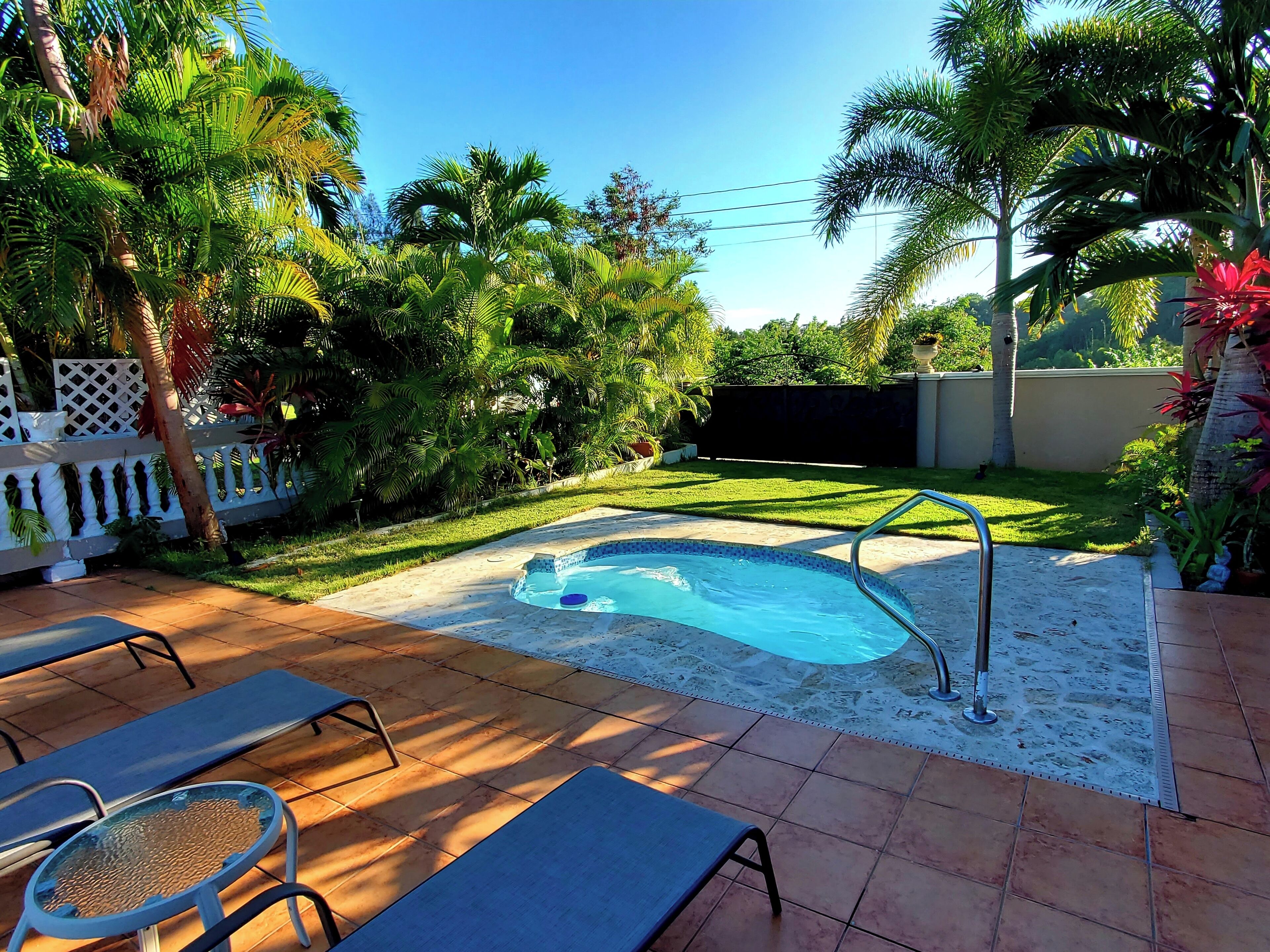 A backyard with a swimming pool, patio furniture, and lush greenery.