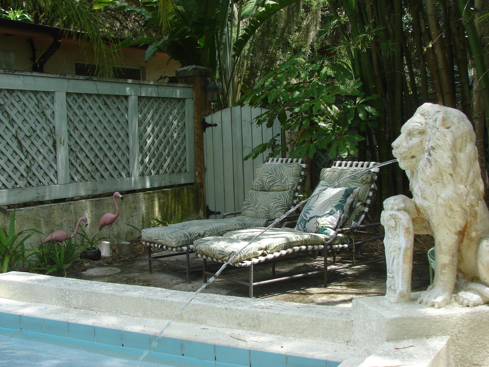 Un espace piscine avec des chaises longues et une statue de lion en pierre.