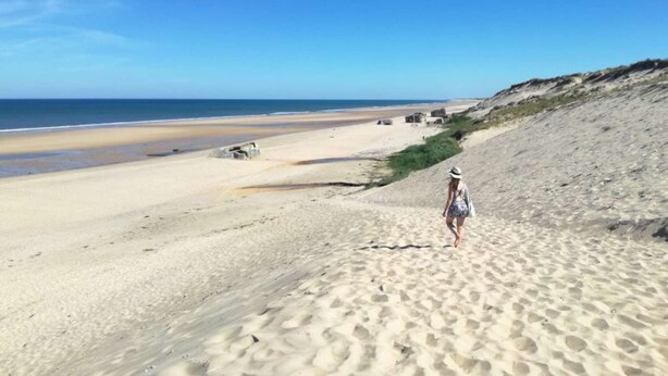 Una playa arenosa con cielo despejado y una persona caminando.