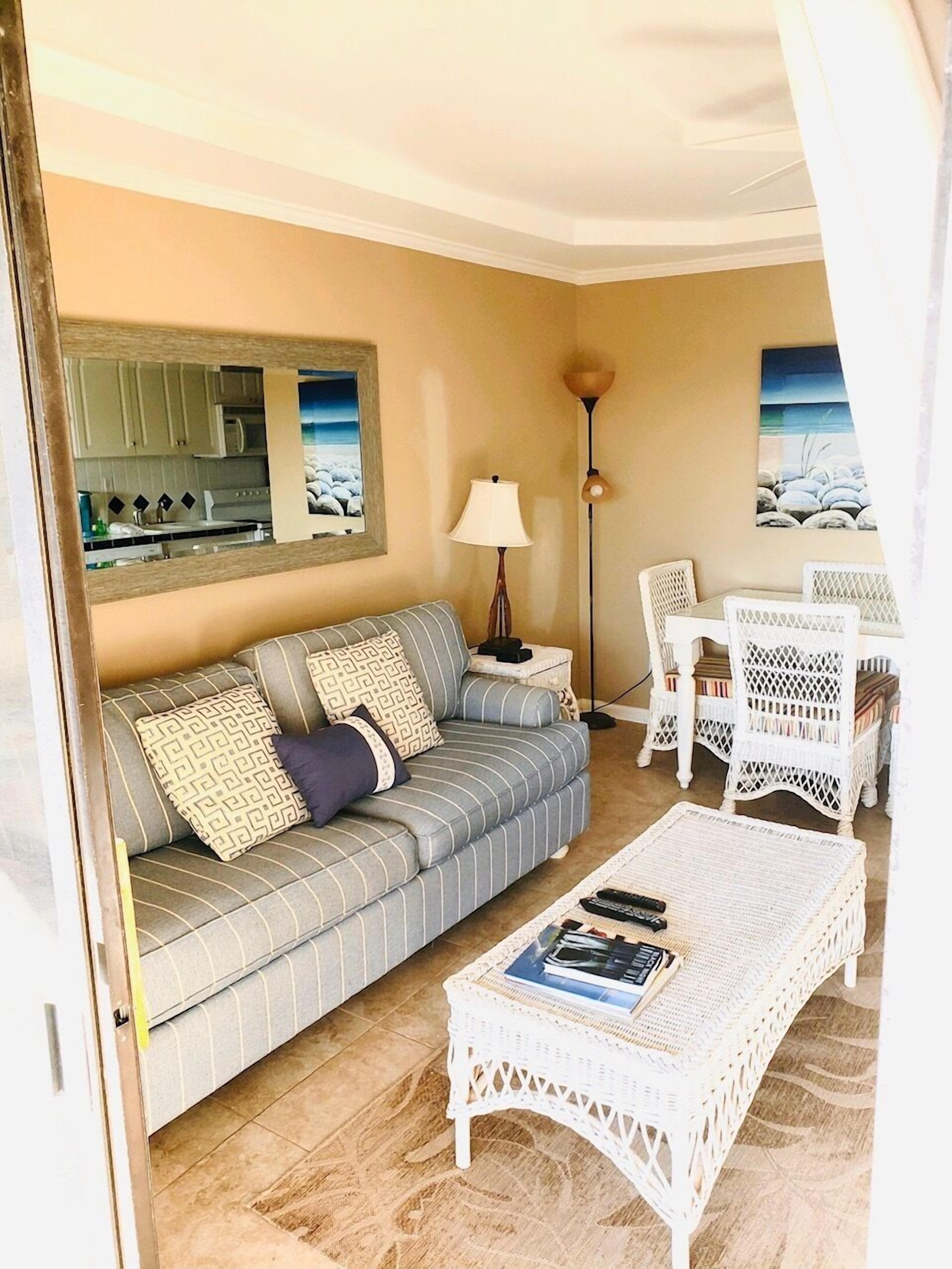 電視、DVD 播放機