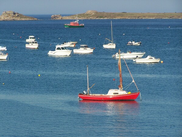 Un port de plaisance où sont amarrés différents types de bateaux, dont un grand voilier rouge qui se distingue au premier plan.
