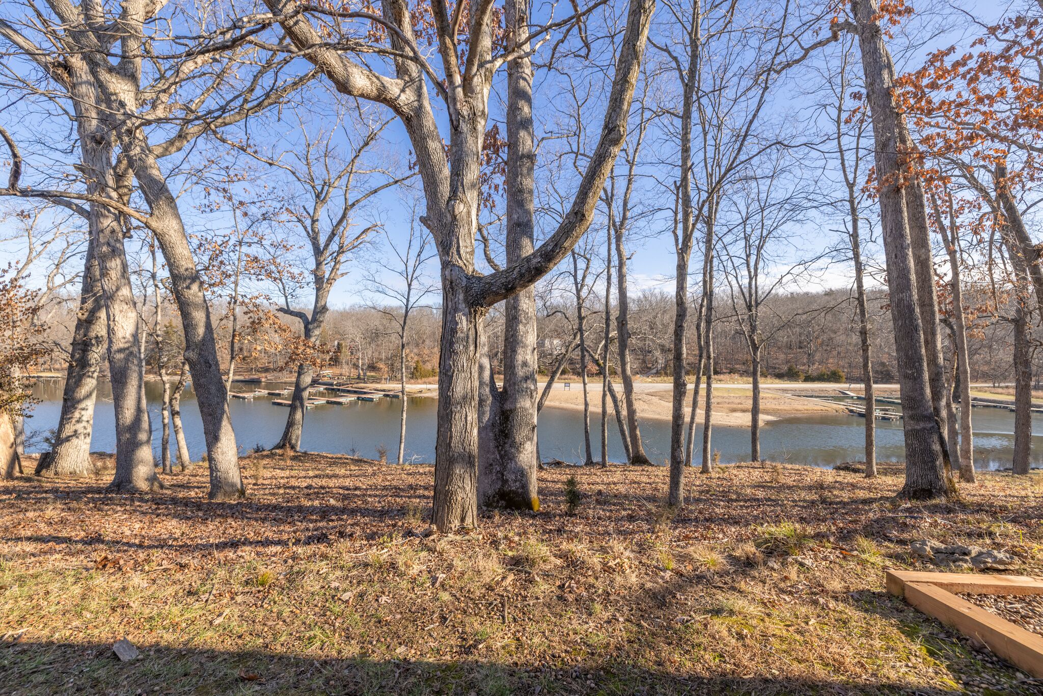A park with trees, a pond, and a wooden deck.