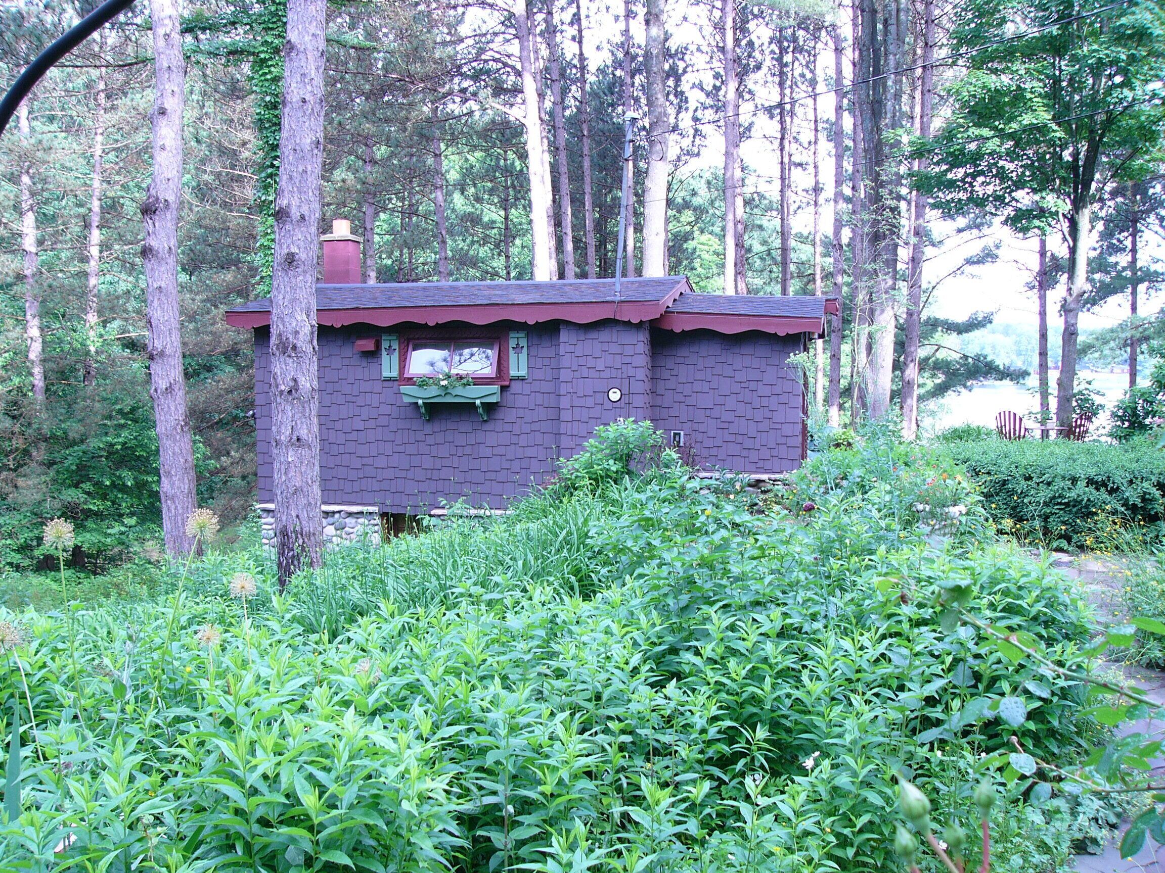 A small, rustic cabin surrounded by dense forest.