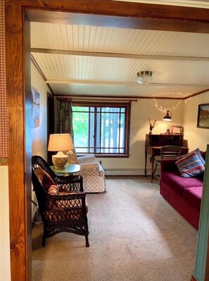 TV, fireplace, video library