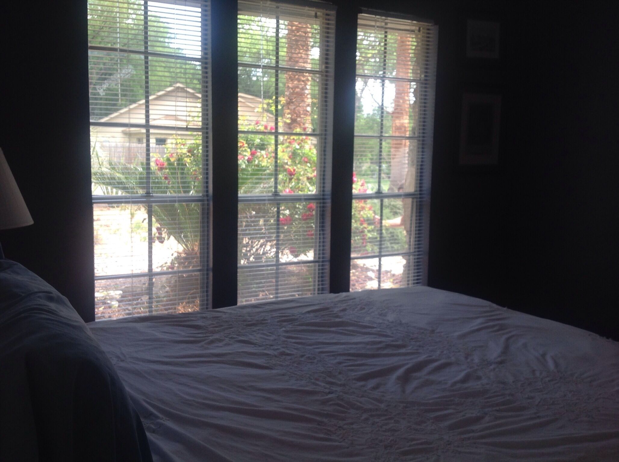 zilker park barton springs s. lamar s. congress steps to greenbelt cozy comfy