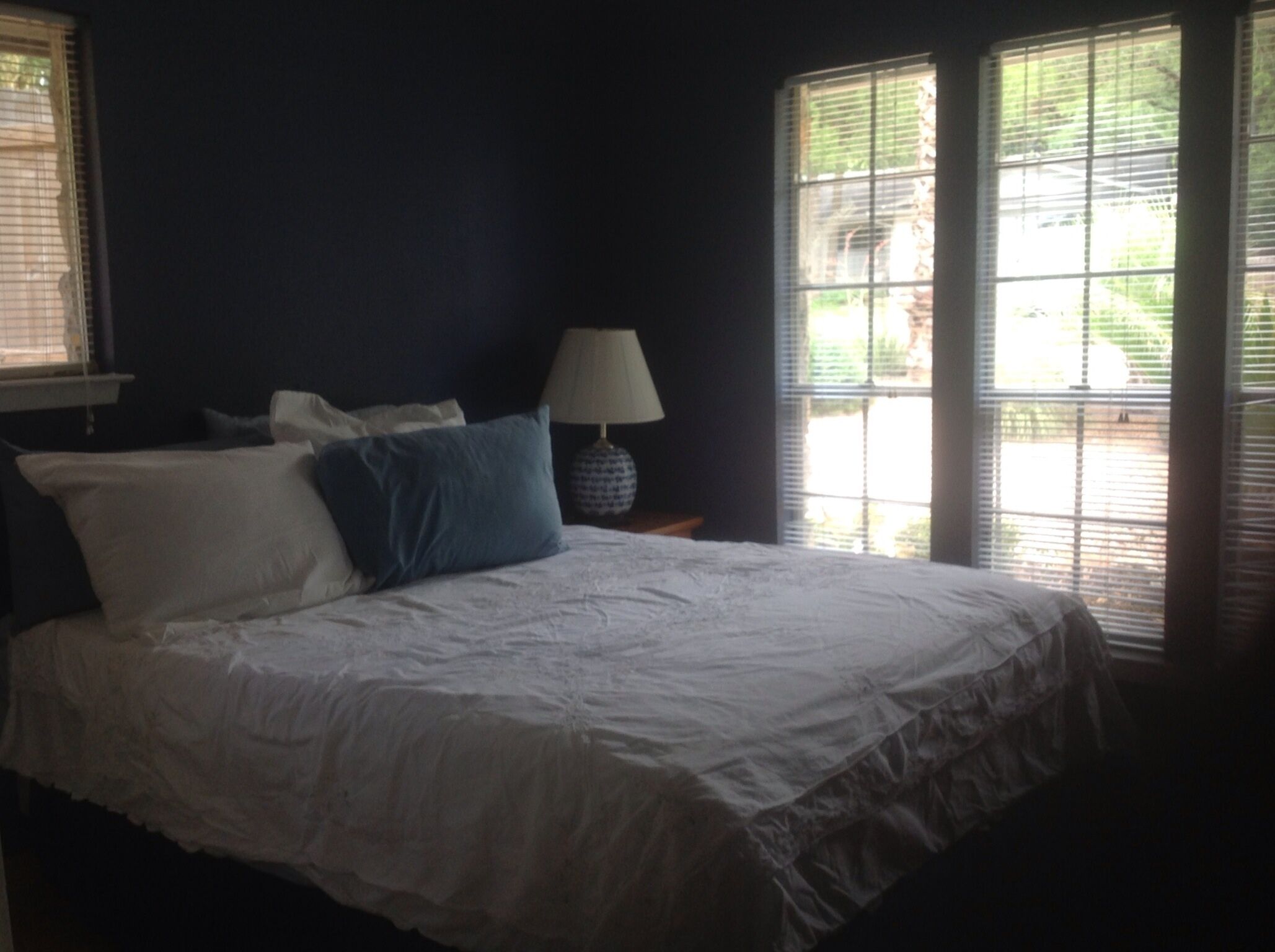 zilker park barton springs s. lamar s. congress steps to greenbelt cozy comfy